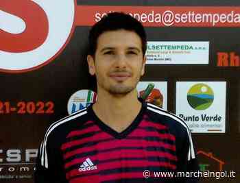 PRIMA C. Settempeda, ancora niente vittoria: pareggio con il Matelica - marcheingol.it