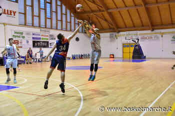 Vigor Matelica, Giacomo Tosti “Qui non si accetta nemmeno il 2° posto. Convinto dalle ambizioni della società” - Serie C Gold Girone Unico - Basketmarche.it