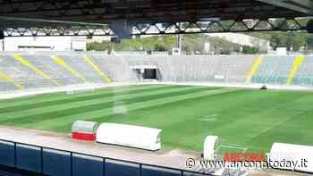 Verso Ancona Matelica-Montevarchi, in attesa del 75% scatta la prevendita per la sfida - AnconaToday