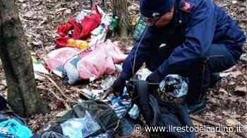Parma, sgombero dei senzatetto dall'area golenale del Ponte Nord: rimossi i bivacchi - il Resto del Carlino