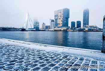 Rotterdam steht vor einem großen Wohnungsproblem - DER STANDARD