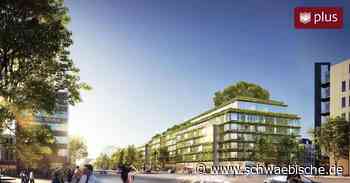 Grüne Architektur: Kontrollierter Wildwuchs im Stuttgarter Kessel - Schwäbische