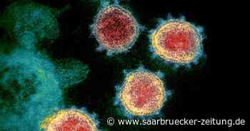 Gesundheitsamt Neunkirchen informiert über Corona bei Kindern - Saarbrücker Zeitung