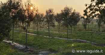 Castagno e cibo, Cuneo e Chiusa Pesio capitali della ricerca - La Guida - LaGuida.it