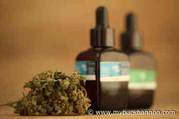 Office of Medical Cannabis to host patient sign-up events in Northern Panhandle - My Buckhannon