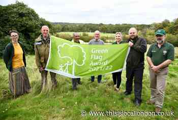 Epping Forest wins Green Flag award for 18th year