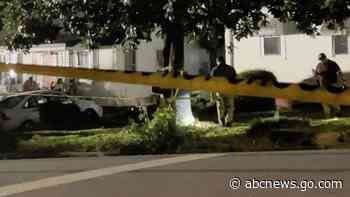 Boy, 13, killed in home by bullets that flew through window