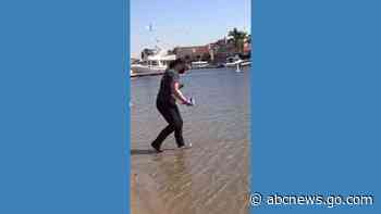 WATCH:  Birds saved from California oil spill