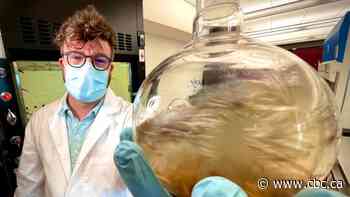 How one Sask. university is working with elders to further scientific research on traditional medicinal plants