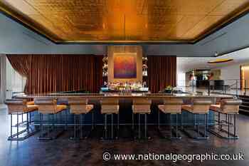 Four of the best food-focused hotels in Tampa, Florida - National Geographic UK