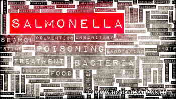 Study assesses Salmonella impact on consumers in Hungary - Food Safety News