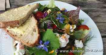 The converted barn now serving some of the best food in Somerset - Somerset Live