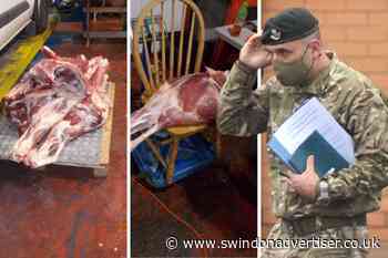 Man admits nearly 40 food hygiene offences in illegal meat cutting operation at car wash - Swindon Advertiser