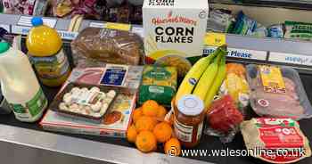 Is Aldi or Lidl cheaper? We did a weekly food shop at both to find out - Wales Online