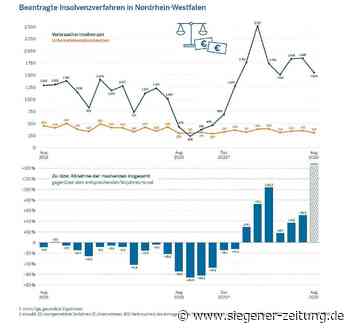 Statistische Erhebungen von IT NRW: Immer mehr Bürger gehen pleite - Siegener Zeitung