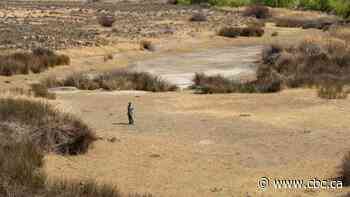 Gap in research funding leaves global south more vulnerable to climate impacts, studies suggest