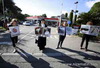 L214 manifeste devant Burger King à Antibes, "roi de la cruauté"