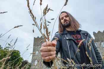 En Irlande, un baron écologiste rend son domaine à la nature