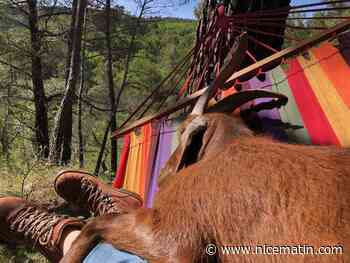 Ils chassaient sur son terrain privé, sans autorisation... Elle promet de ne pas en rester là !