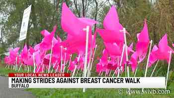 Over $250,000 raised at Making Strides Against Breast Cancer walk