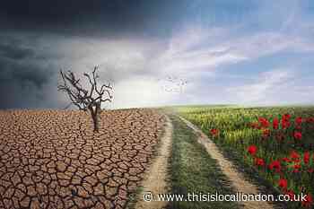 Climate Crisis Film Festival Scarlett Oliver Reigate College