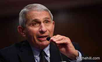 Fauci doesn't think politics got in way of FDA booster approvals