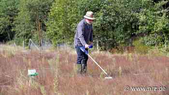 Naturschutzgebiet Wittenhorster Heide: Moorpflanzen sind weg - NRZ