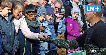 Reinfeld feiert das Abfischen des Herrenteichs mit Party und Feuershow - Lübecker Nachrichten