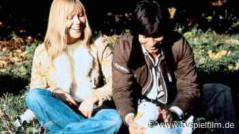 Grün ist die Heide im TV - Sendung - TV SPIELFILM - TV Spielfilm