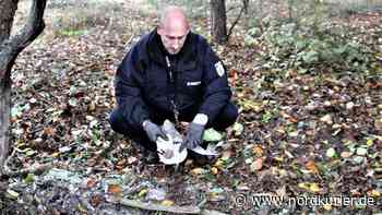 Munitionsbeseitigung: Panzerminen in der Tangersdorfer Heide gesprengt | Nordkurier.de - Nordkurier