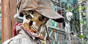 Verwaltung will Kirmes in Stadtlohn abschaffen - Münsterland Zeitung