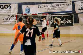 Nox Molfetta a Foligno per la seconda giornata di Serie A2 - MolfettaViva