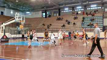 Il Pisaurum Pesaro espugna il campo della Lucky Wind Foligno - Serie C Gold Girone Unico - Basketmarche.it