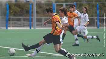 Primavera, il Benevento sfida il Crotone all'Avellola - Ottopagine