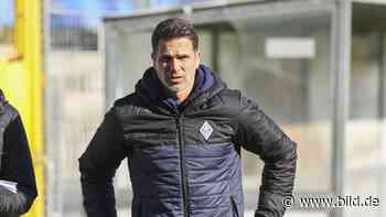 Waldhof Mannheim - Corona-Chaos! Muss auch das Zwickau-Spiel ausfallen? - BILD