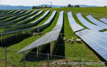 Neuer Solarpark in Wiggensbach: Warum Bürger nicht mitverdienen sollen - Allgäuer Zeitung