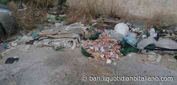 Bari, siringhe bottiglie di birra vestiti e scarti edili: lo scempio di via Ballestrero - Il Quotidiano Italiano - Bari