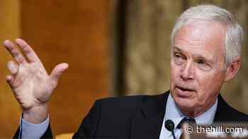 Sen. Ron Johnson hoping for Democratic 'gridlock' on reconciliation package
