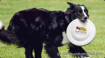 6 Central Austin October events - Community Impact Newspaper