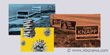 'Marketing and fear tactics' make their way to school board elections across the U.S.