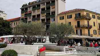 Ad Acqui Terme si litiga sugli ulivi: “Il Comune vuole venderli per fare cassa, un orrore” - La Stampa