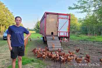 David (25) droomt ervan boer te worden en bouwde mobiele kippenren: “Eitjes zijn duurder, maar mensen willen k - Gazet van Antwerpen