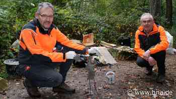 Wilder Müll bei Holzheim erzürnt Waldbesitzer - Bußgeld droht - HNA.de