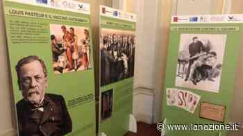 Dalla peste al Covid: a Prato la mostra su virus e vaccinazioni - LA NAZIONE