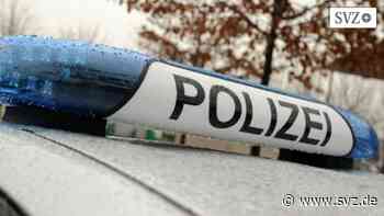 Parchim: Baum kippt auf der B321 auf die Fahrerkabine eines Lastwagens | svz.de - svz – Schweriner Volkszeitung