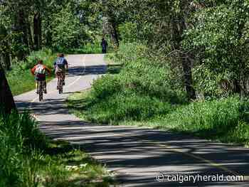 Ward 14: Taxes, city services top of mind for candidates vying for seat - Calgary Herald