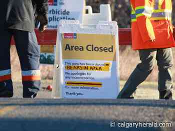 Calgary police warn of possible grizzly with cub roaming southwest communities - Calgary Herald