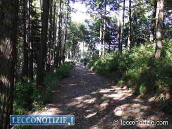 Con il Cai Lecco Strada Storta alla scoperta del Parco Valentino - Lecco Notizie