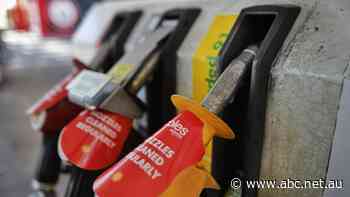 Petrol prices hit record highs in major Australian cities and there are 'no signs' they've peaked