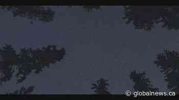 Jasper Dark Sky Festival gets underway | Watch News Videos Online - Globalnews.ca